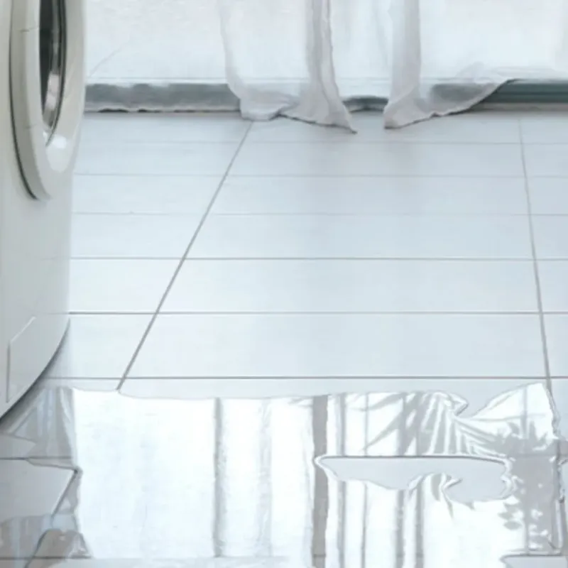 Appliance Leak Cleanup in Madison County, IL