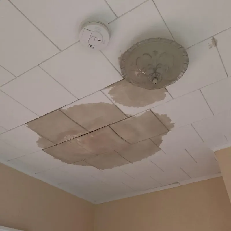 Ceiling Water Damage Repair in Madison County, IL