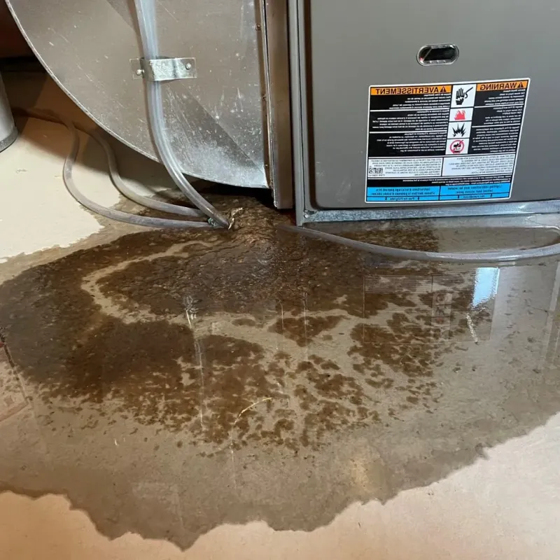 Pipe Burst and Leak Restoration in Madison County, IL