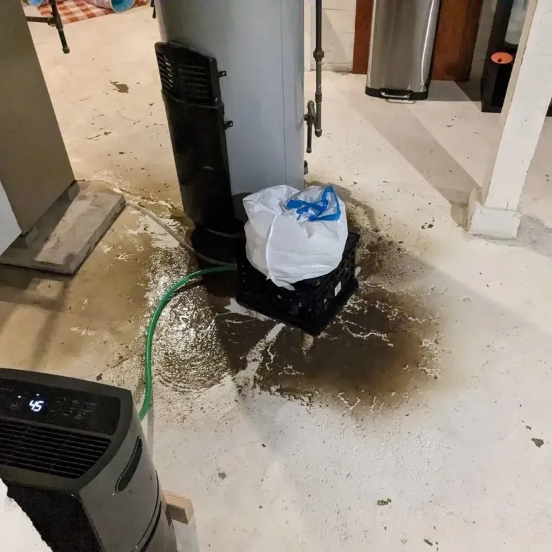 Sewage Backup Cleanup Service in Madison County, IL